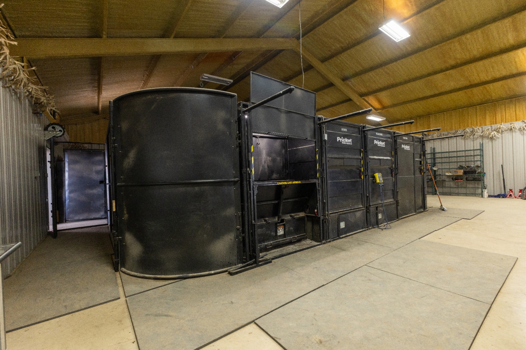 Game handling chutes and scale boxes