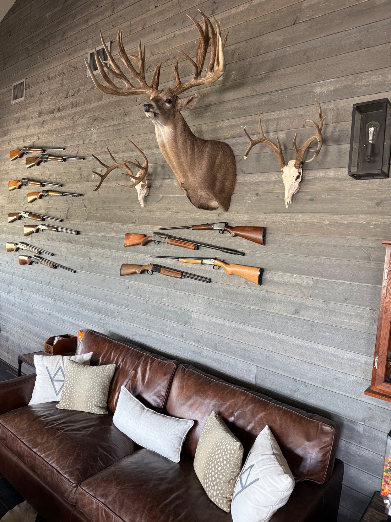 Trophy wall in The Saloon